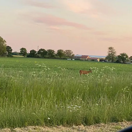 Gaestehaus Windfluechter Otel *