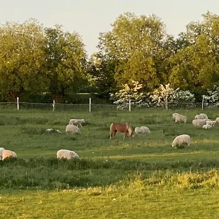 Gaestehaus Windfluechter Breege