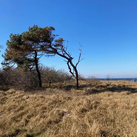 Gaestehaus Windfluechter