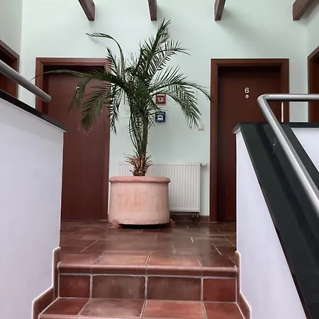 Gaestehaus Windfluechter Бреге