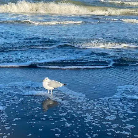 Gaestehaus Windfluechter