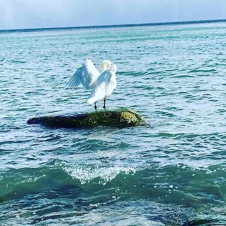 Отель Gaestehaus Windfluechter Бреге