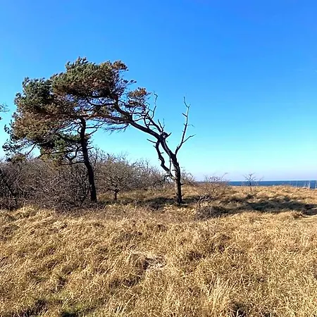 Gaestehaus Windfluechter